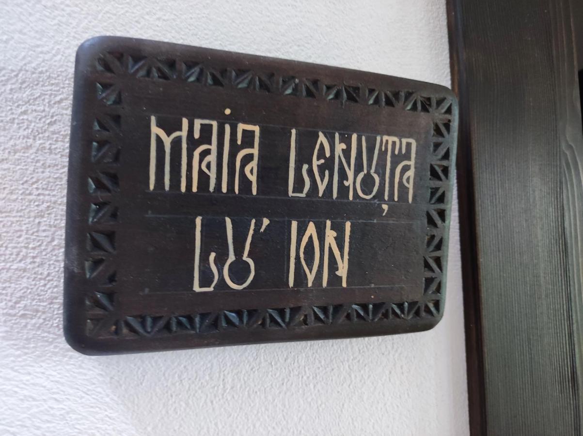 Villa Ograda Bunicilor Baia de Fier Exterior foto